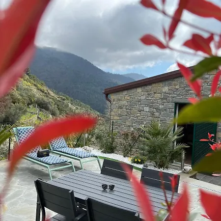 The Garden *